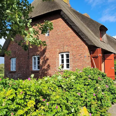 Gunst Hues, * Alkersum